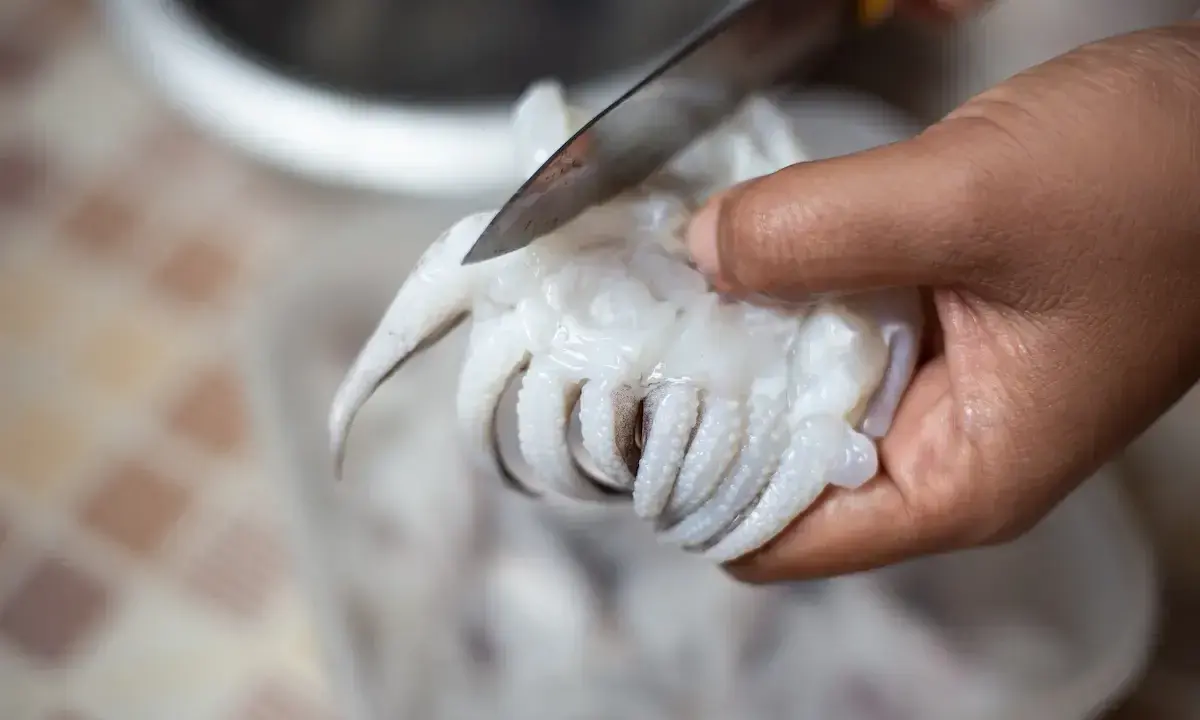 Mano che taglia con un coltello i tentacoli di una seppia, parte del processo per pulire le seppie.