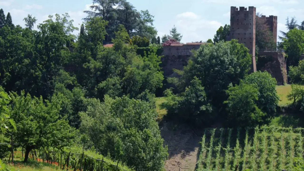 Torre medievale e mura antiche a San Colombano al Lambro, circondate da rigogliosi vigneti e alberi verdi.