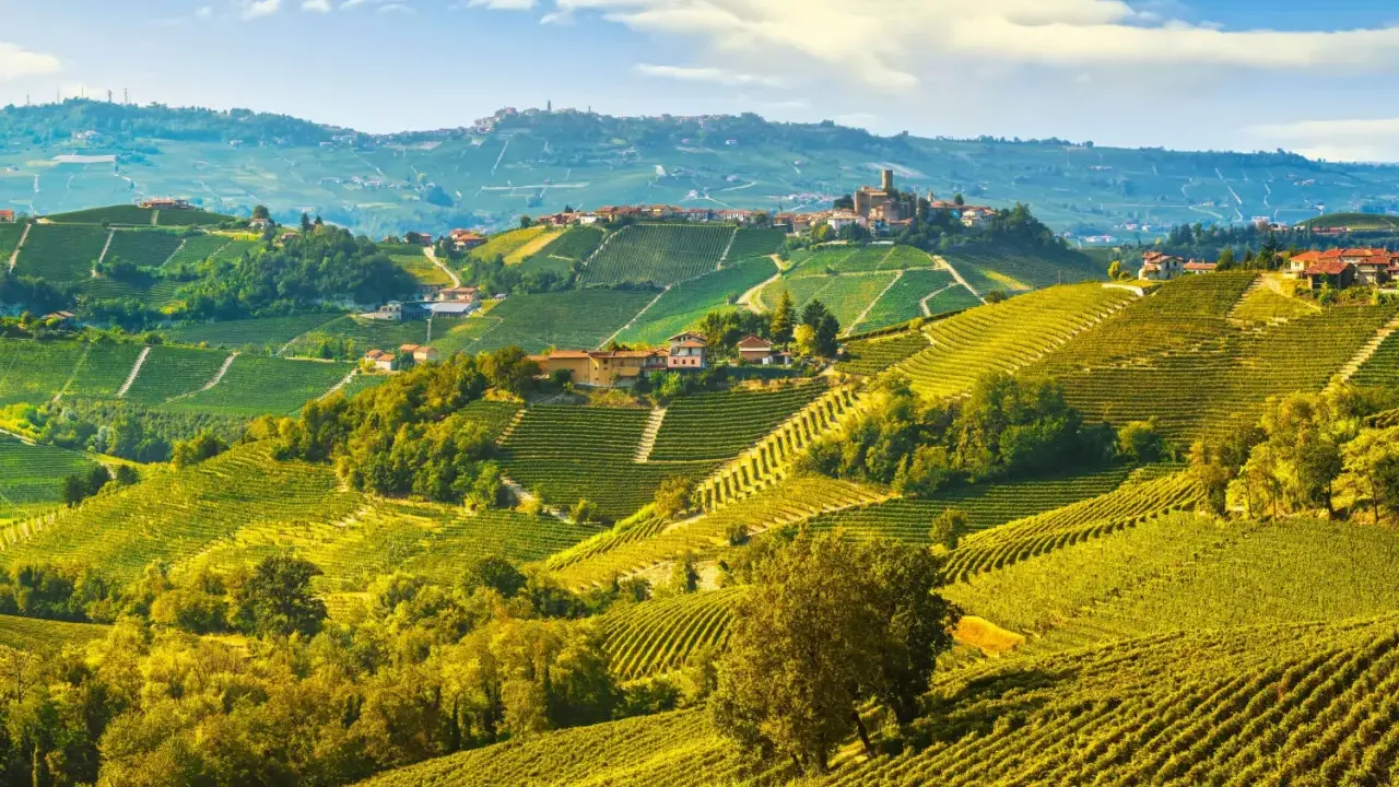 Colline vitate delle Langhe, un paesaggio da sogno con borghi arroccati. Scopri cosa vedere in questo angolo di paradiso.