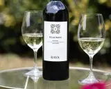 BOTTIGLIA E DUE CALICI DI VINO BIANCO, un Sauvignon Blanc del Piemonte, su un tavolino di vetro all'aperto.
