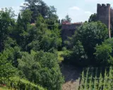 Torre medievale e mura antiche a San Colombano al Lambro, circondate da rigogliosi vigneti e alberi verdi.
