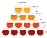 Schema del metodo solera: botti impilate per criadera, con estrazione e reintegro per mantenere la qualità.