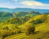 Colline vitate delle Langhe, un paesaggio da sogno con borghi arroccati. Scopri cosa vedere in questo angolo di paradiso.