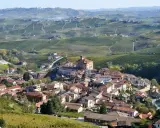 Barolo: cosa vedere nel borgo con il castello e le colline vitate.