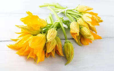 Mazzi di fiori di zucca freschi, gialli e vibranti, legati con spago bianco. Perfetti per imparare come conservare i fiori di zucca.