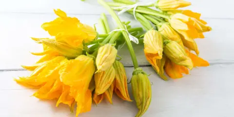 Mazzi di fiori di zucca freschi, gialli e vibranti, legati con spago bianco. Perfetti per imparare come conservare i fiori di zucca.