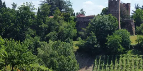 Torre medievale e mura antiche a San Colombano al Lambro, circondate da rigogliosi vigneti e alberi verdi.