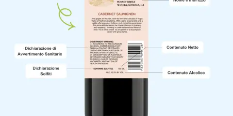 Etichetta di vino Cabernet Sauvignon, con dettagli su nome, indirizzo, contenuto netto, alcolico e avvertenze sanitarie. Il cru significato è implicito nella provenienza delle uve.