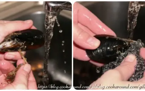 Mani che puliscono le cozze sotto l'acqua corrente, rimuovendo le barbe e strofinando il guscio con una spugnetta metallica.