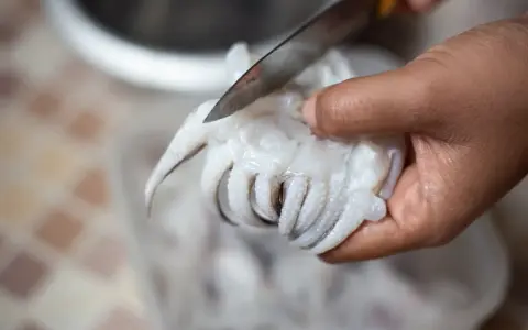 Mano che taglia con un coltello i tentacoli di una seppia, parte del processo per pulire le seppie.