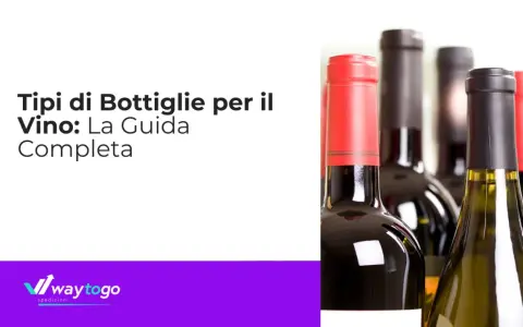Tipi di bottiglie per il vino: una guida completa per conoscere i nomi delle bottiglie di vino.