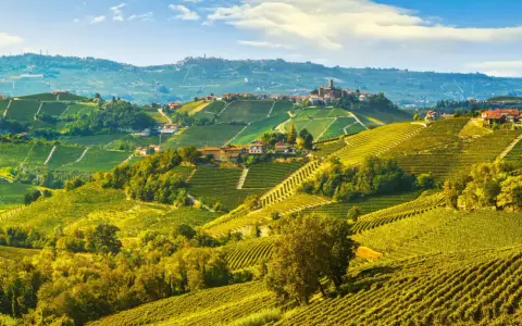 Colline vitate delle Langhe, un paesaggio da sogno con borghi arroccati. Scopri cosa vedere in questo angolo di paradiso.
