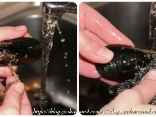 Mani che puliscono le cozze sotto l'acqua corrente, rimuovendo le barbe e strofinando il guscio con una spugnetta metallica.