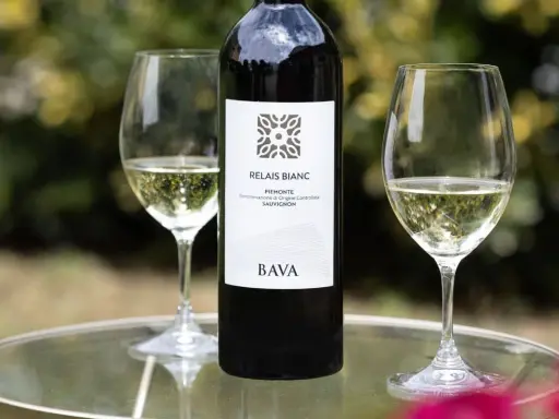 BOTTIGLIA E DUE CALICI DI VINO BIANCO, un Sauvignon Blanc del Piemonte, su un tavolino di vetro all'aperto.