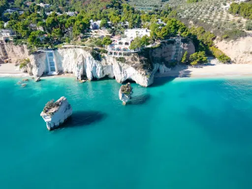 Scogliere bianche a picco sul mare turchese, con rocce isolate e vegetazione lussureggiante. Sembra la spiaggia più bella della Puglia.