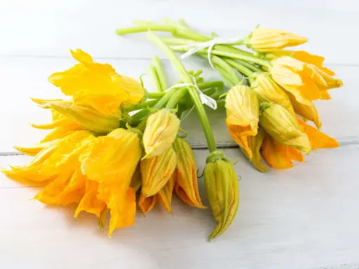 Mazzi di fiori di zucca freschi, gialli e vibranti, legati con spago bianco. Perfetti per imparare come conservare i fiori di zucca.