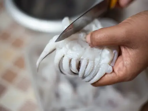 Mano che taglia con un coltello i tentacoli di una seppia, parte del processo per pulire le seppie.