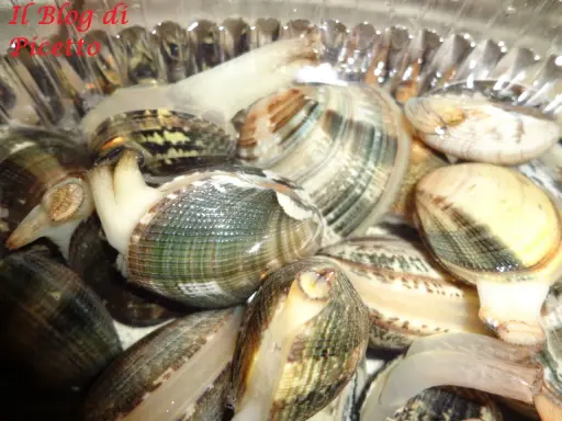 Vongole fresche pronte per essere spurgate. Scopri come spurgare le vongole per gustarle al meglio.