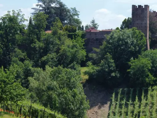 Torre medievale e mura antiche a San Colombano al Lambro, circondate da rigogliosi vigneti e alberi verdi.