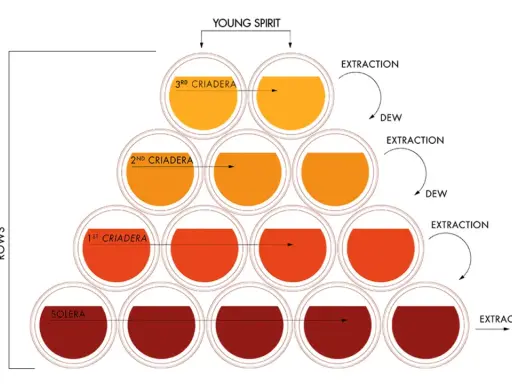 Schema del metodo solera: botti impilate per criadera, con estrazione e reintegro per mantenere la qualità.