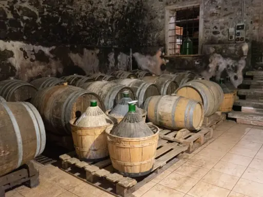 Cantina con botti di legno e damigiane, in attesa dell'affinamento del vino.