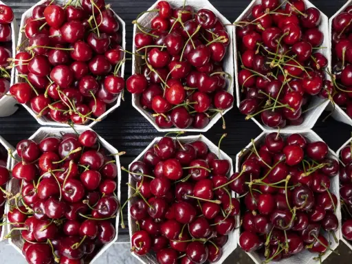 Ciliegie fresche in cestini di carta, perfette per scoprire come conservare le ciliegie fresche e gustarle più a lungo.