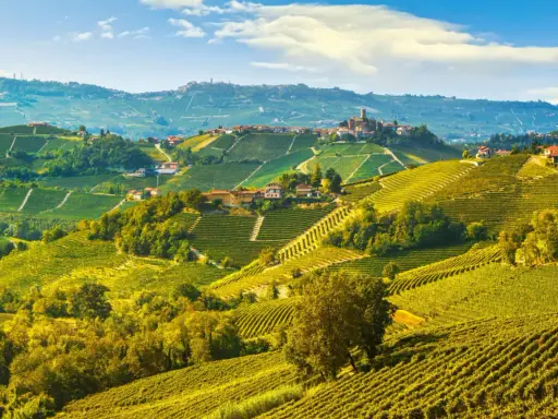 Colline vitate delle Langhe, un paesaggio da sogno con borghi arroccati. Scopri cosa vedere in questo angolo di paradiso.