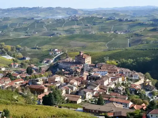 Barolo: cosa vedere nel borgo con il castello e le colline vitate.