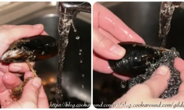 Mani che puliscono le cozze sotto l'acqua corrente, rimuovendo le barbe e strofinando il guscio con una spugnetta metallica.