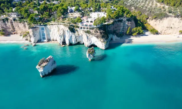 Scogliere bianche a picco sul mare turchese, con rocce isolate e vegetazione lussureggiante. Sembra la spiaggia più bella della Puglia.