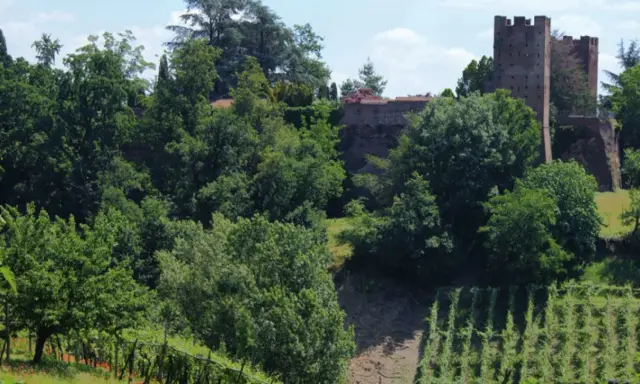 Torre medievale e mura antiche a San Colombano al Lambro, circondate da rigogliosi vigneti e alberi verdi.