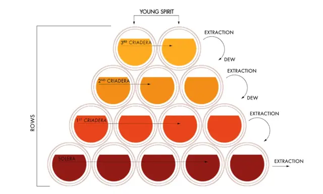 Schema del metodo solera: botti impilate per criadera, con estrazione e reintegro per mantenere la qualità.