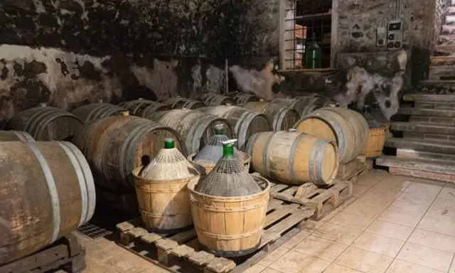 Cantina con botti di legno e damigiane, in attesa dell'affinamento del vino.