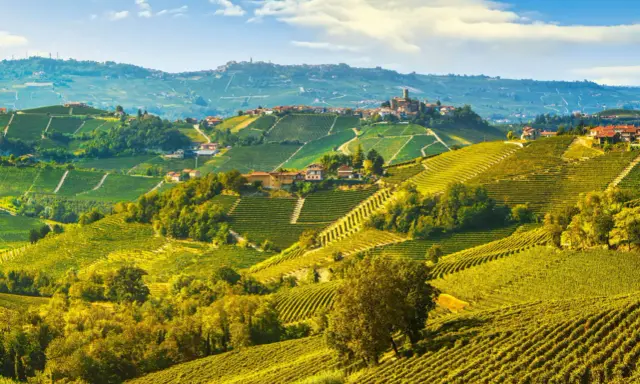 Colline vitate delle Langhe, un paesaggio da sogno con borghi arroccati. Scopri cosa vedere in questo angolo di paradiso.