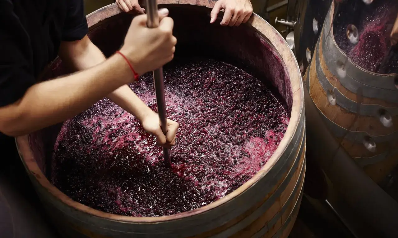 Mani mescolano il mosto d'uva in un tino di legno, un passo fondamentale nella follatura vino per estrarre colore e aromi.