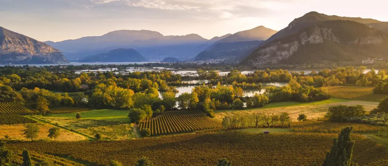 Colline dorate con vitigni Franciacorta al tramonto, laghi e montagne sullo sfondo.