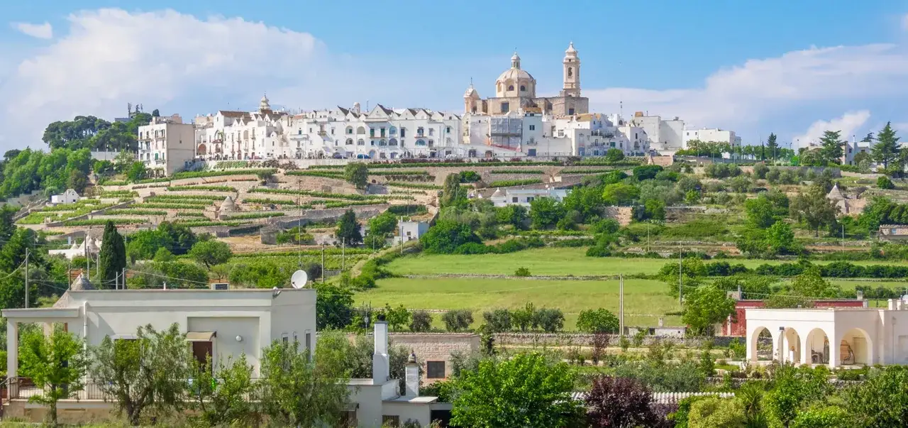 Panoramica di Locorotondo, un borgo bianco su una collina pugliese, con vigneti terrazzati e trulli.