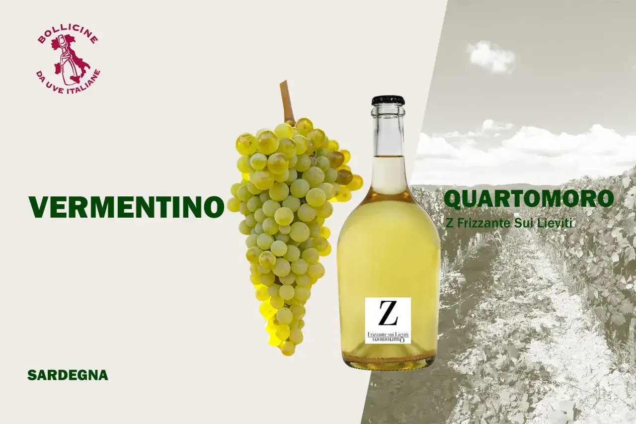 Vermentino, un vino frizzante di Sardegna, con grappoli d'uva e bottiglia.