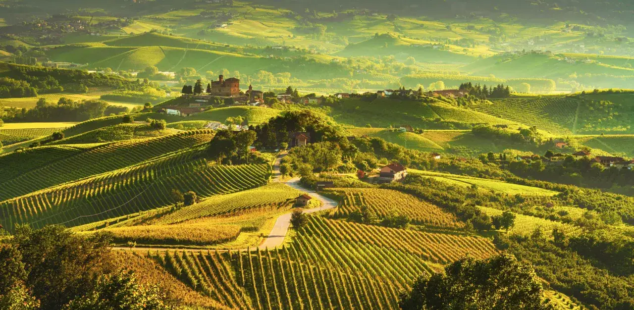 Colline ondulate delle Langhe, con vigneti dorati e un borgo arroccato. Un invito a scoprire cosa vedere in questo paesaggio incantevole.