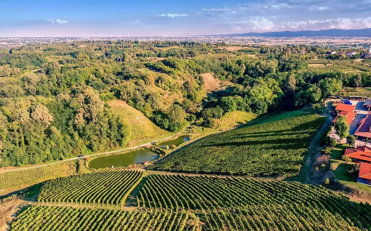 Vigneti rigogliosi e colline verdi abbracciano un laghetto a San Colombano al Lambro, con un borgo sullo sfondo.